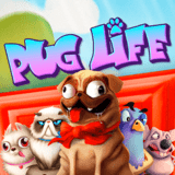 Pug Life
